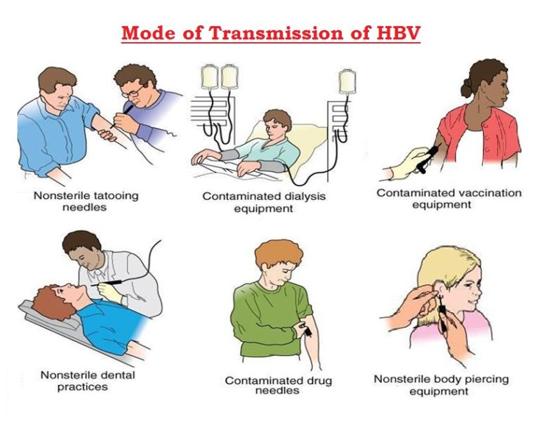 hepatitis a transmission mode