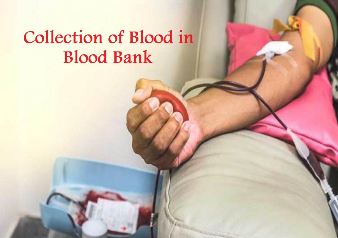 Collection of Blood in Blood Bank 4.6 (7)