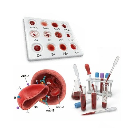 Blood Bank